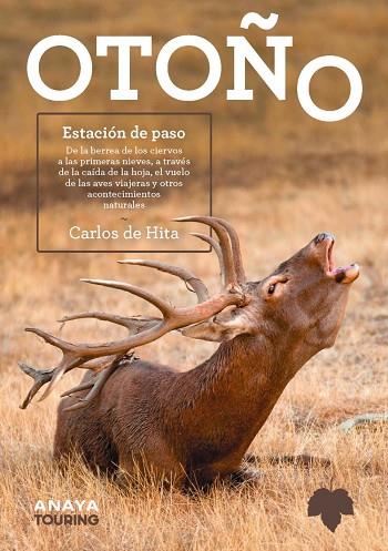 OTOÑO. Estación de paso | 9788491586685 | Hita Moreno, Carlos de | Librería Castillón - Comprar libros online Aragón, Barbastro