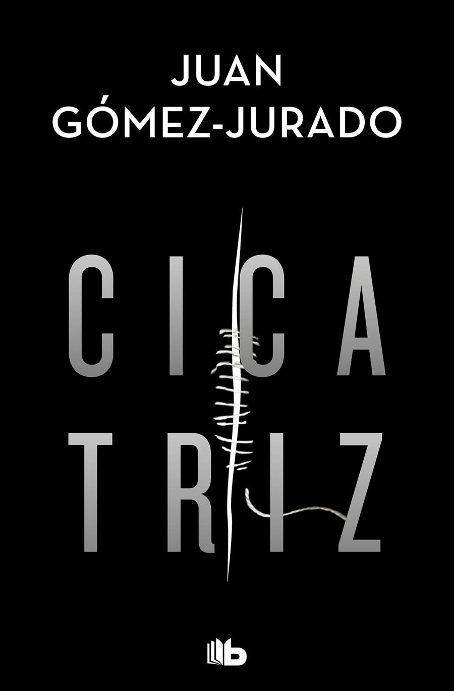 Cicatriz | 9788413143231 | Gómez-Jurado, Juan | Librería Castillón - Comprar libros online Aragón, Barbastro