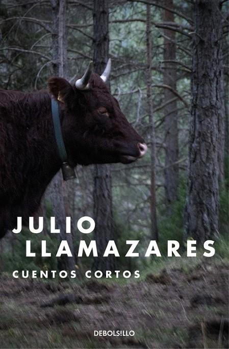 Cuentos cortos | 9788466335591 | LLAMAZARES, JULIO | Librería Castillón - Comprar libros online Aragón, Barbastro