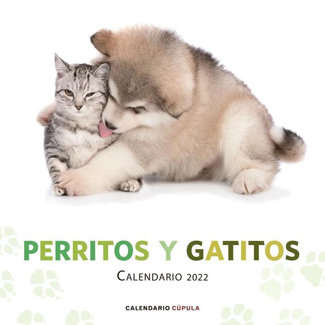 Calendario Perritos y Gatitos 2022 | 9788448028718 | AA. VV. | Librería Castillón - Comprar libros online Aragón, Barbastro