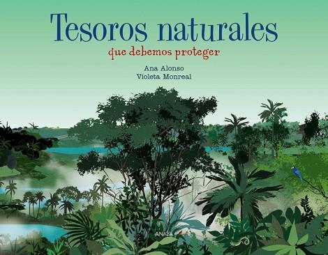 Tesoros naturales | 9788469891001 | Alonso, Ana | Librería Castillón - Comprar libros online Aragón, Barbastro