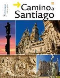Camino a Santiago | 9788494143236 | Alegre Alonso, Joaquín | Librería Castillón - Comprar libros online Aragón, Barbastro