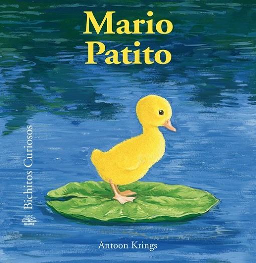 Bichitos Curiosos. Mario Patito | 9788498018530 | Krings, Antoon | Librería Castillón - Comprar libros online Aragón, Barbastro