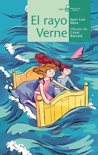 El rayo Verne | 9788491423577 | Juan Luis Mira | Librería Castillón - Comprar libros online Aragón, Barbastro
