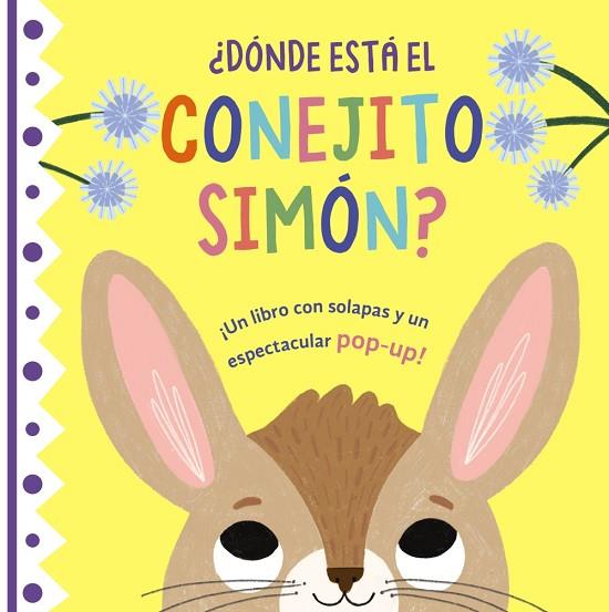 ¿Dónde está el conejito Simón? | 9788469668887 | VV.AA. | Librería Castillón - Comprar libros online Aragón, Barbastro