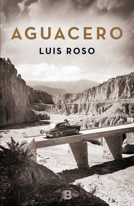 Aguacero | 9788466659215 | Roso, Luis | Librería Castillón - Comprar libros online Aragón, Barbastro