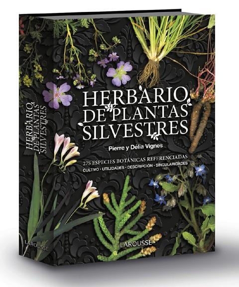 Herbario de plantas silvestres | 9788417720605 | Vignes, Pierre ; Vignes, Délia | Librería Castillón - Comprar libros online Aragón, Barbastro