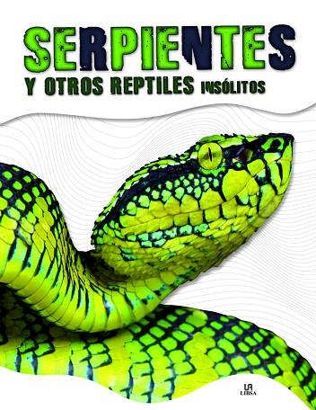 Serpientes y Otros Reptiles Insólitos | 9788466236621 | Penalva Comendador, Nuria | Librería Castillón - Comprar libros online Aragón, Barbastro