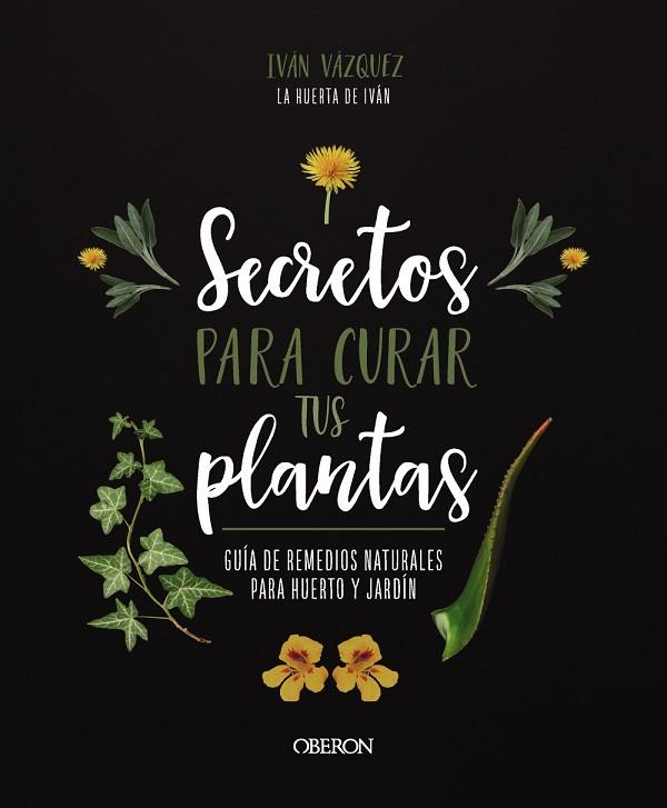 Secretos para curar tus plantas | 9788441547162 | Vázquez Muñoz, Iván | Librería Castillón - Comprar libros online Aragón, Barbastro