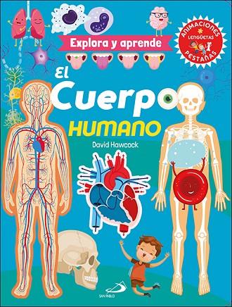 El cuerpo humano | 9788428560467 | Hawcock, David | Librería Castillón - Comprar libros online Aragón, Barbastro