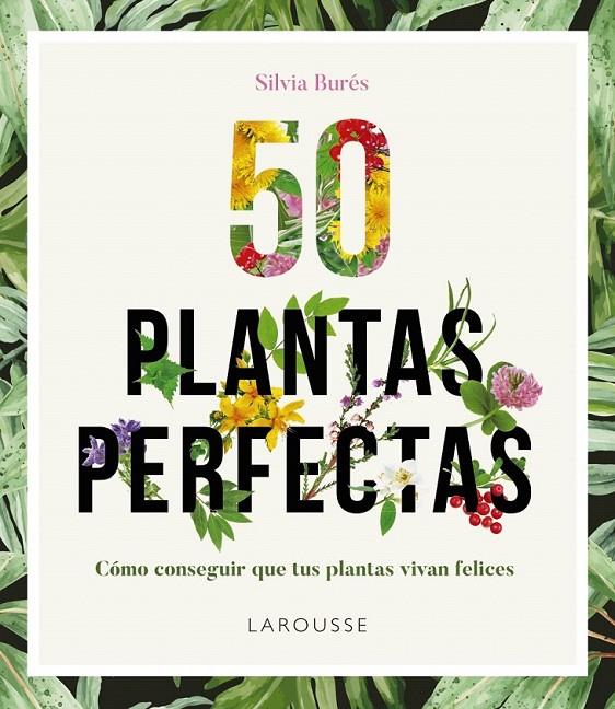 50 Plantas perfectas | 9788416641840 | Burés, Silvia | Librería Castillón - Comprar libros online Aragón, Barbastro