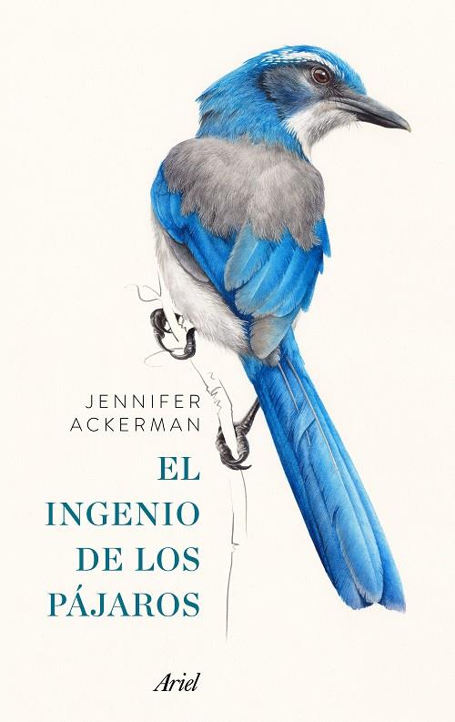 El ingenio de los pájaros | 9788434425262 | Ackerman, Jennifer | Librería Castillón - Comprar libros online Aragón, Barbastro
