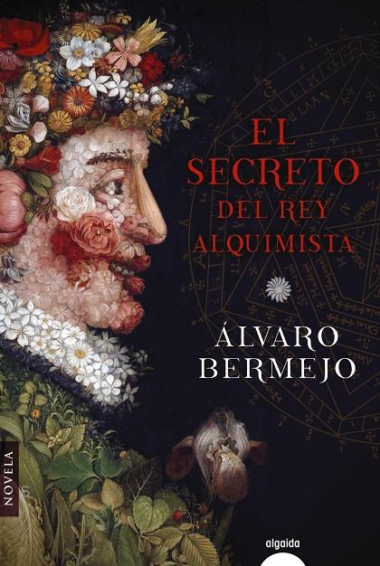 El secreto del rey alquimista | 9788491890195 | Bermejo, Álvaro | Librería Castillón - Comprar libros online Aragón, Barbastro