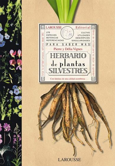 HERBARIO DE PLANTAS SILVESTRES | 9788480168762 | VIGNES, PIERRE; VIGNES, DÉLIA | Librería Castillón - Comprar libros online Aragón, Barbastro