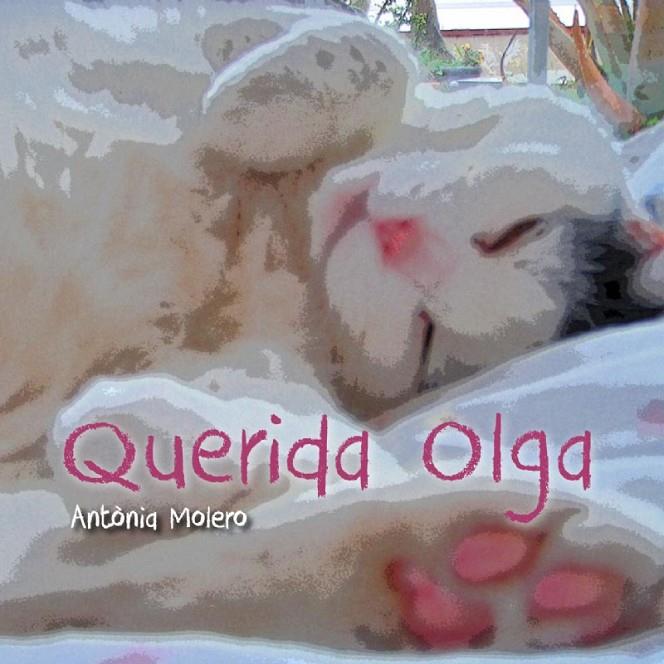 Querida Olga | 9788493878597 | Molero Cillán, Antònia | Librería Castillón - Comprar libros online Aragón, Barbastro