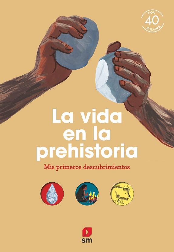 La vida en la prehistoria | 9788498564945 | Bordet-Petillon, Sophie | Librería Castillón - Comprar libros online Aragón, Barbastro