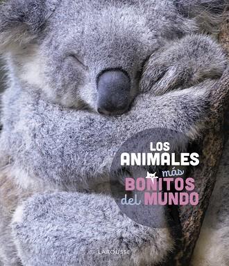 Los animales más bonitos del mundo | 9788419436177 | Ledu, Stéphanie | Librería Castillón - Comprar libros online Aragón, Barbastro
