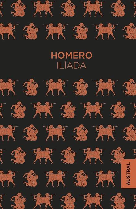 Ilíada | 9788467055214 | Homero | Librería Castillón - Comprar libros online Aragón, Barbastro