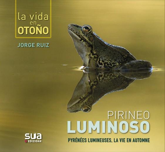 Pirineo luminoso | 9788482167312 | Ruiz del Olmo, Jorge | Librería Castillón - Comprar libros online Aragón, Barbastro