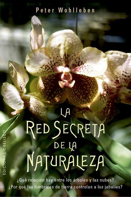 La red secreta de la naturaleza | 9788491114192 | WOHLLEBEN, PETER | Librería Castillón - Comprar libros online Aragón, Barbastro