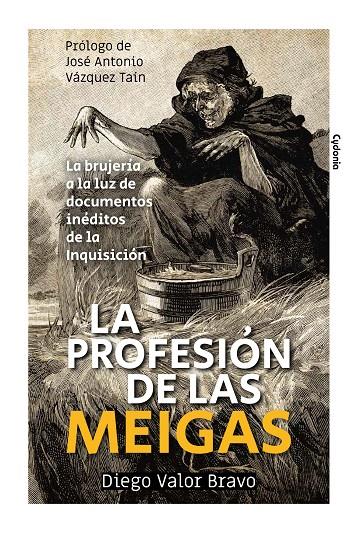 La profesión de las meigas | 9788412240313 | Valor Bravo, Diego | Librería Castillón - Comprar libros online Aragón, Barbastro