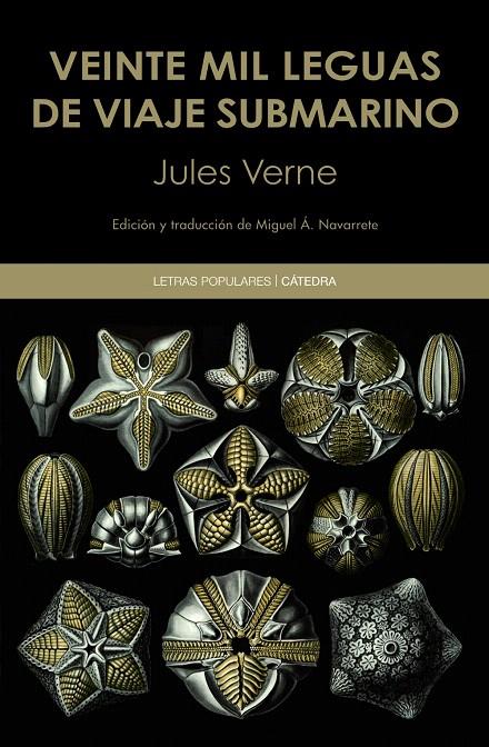Veinte mil leguas de viaje submarino | 9788437640099 | Verne, Jules | Librería Castillón - Comprar libros online Aragón, Barbastro