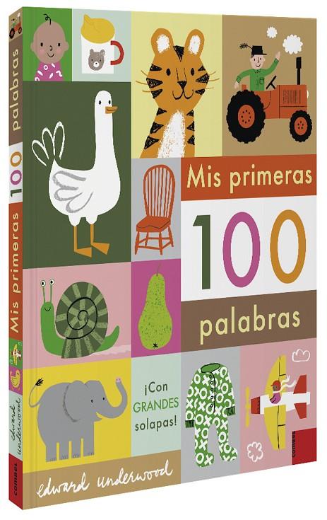 Mis primeras 100 palabras | 9788491015949 | Underwood, Edward | Librería Castillón - Comprar libros online Aragón, Barbastro