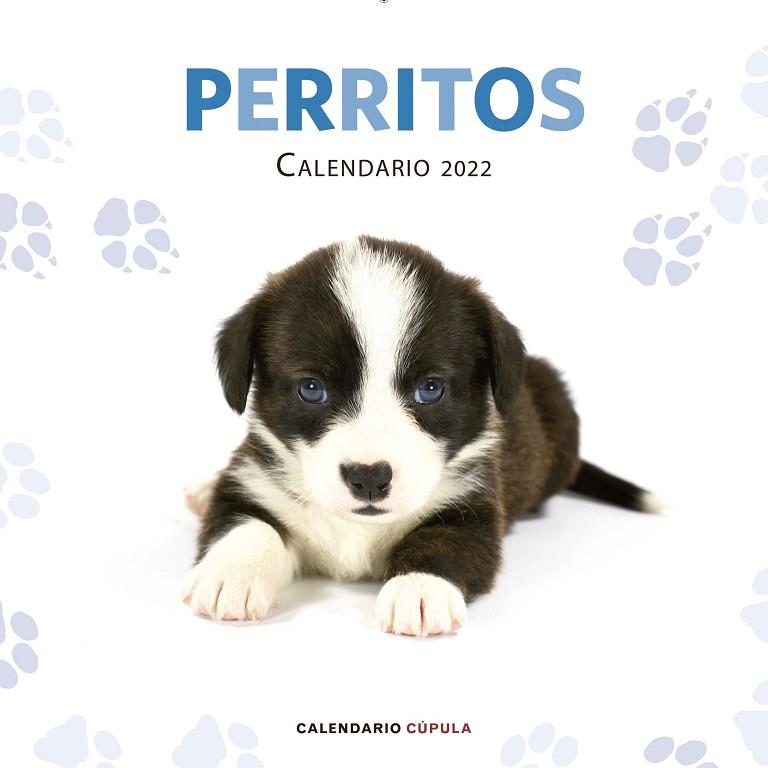 Calendario Perritos 2022 | 9788448028701 | AA. VV. | Librería Castillón - Comprar libros online Aragón, Barbastro