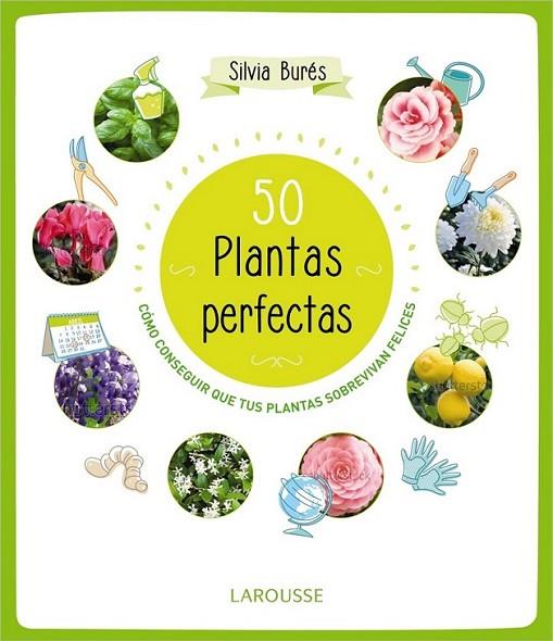 50 Plantas perfectas | 9788415785897 | Burés, Silvia | Librería Castillón - Comprar libros online Aragón, Barbastro