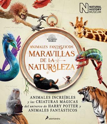 Animales fantásticos : maravillas de la naturaleza | 9788418637056 | The National History Museum | Librería Castillón - Comprar libros online Aragón, Barbastro