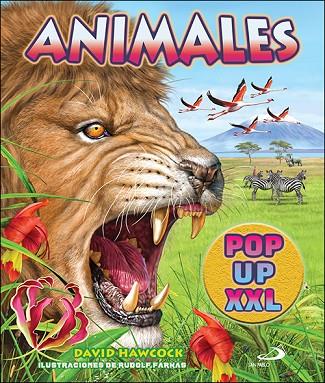 Animales Pop up XXL | 9788428568791 | Hawcock, David | Librería Castillón - Comprar libros online Aragón, Barbastro