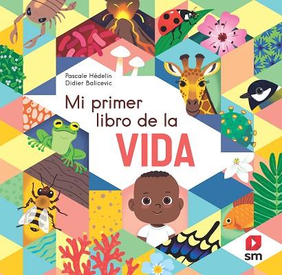 PLD. MI PRIMER LIBRO DE LA VIDA | 9788498569377 | Hédelin, Pascale | Librería Castillón - Comprar libros online Aragón, Barbastro
