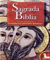 SAGRADA BIBLIA VERSION OFICIAL DE LA CEE | 9788422017387 | VV.AA. | Librería Castillón - Comprar libros online Aragón, Barbastro