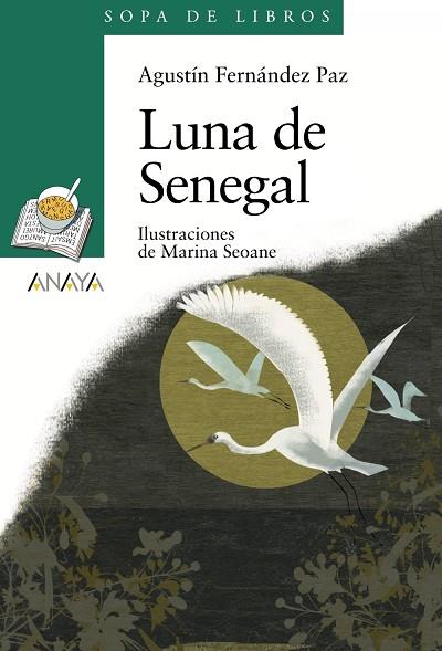 Luna de Senegal | 9788466784306 | Fernández Paz, Agustín | Librería Castillón - Comprar libros online Aragón, Barbastro