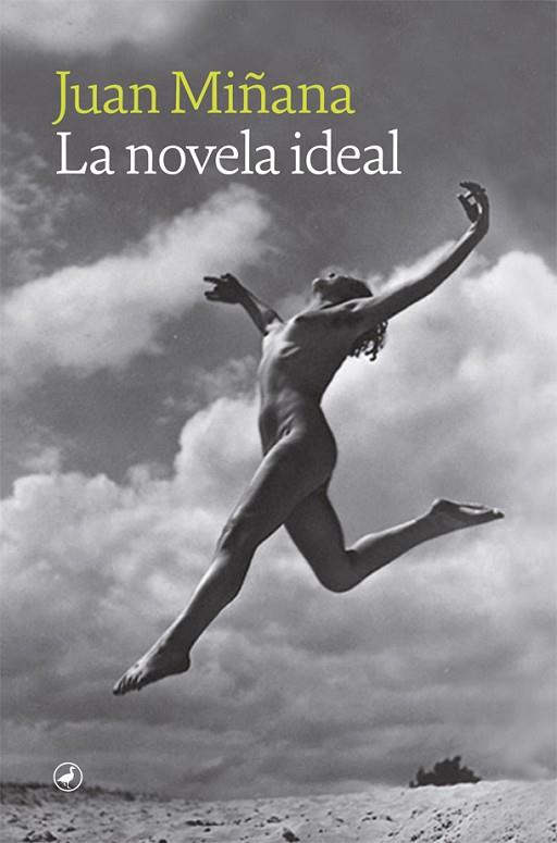 La novela ideal | 9788418800177 | Miñana, Juan | Librería Castillón - Comprar libros online Aragón, Barbastro