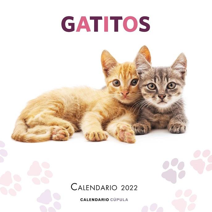 Calendario Gatitos 2022 | 9788448028695 | AA. VV. | Librería Castillón - Comprar libros online Aragón, Barbastro