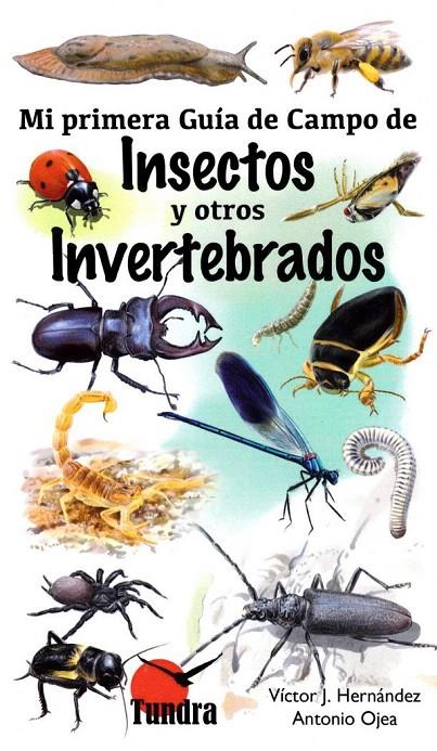Mi primera guía de campo de insectos y otros invertebrados | 9788416702435 | Ojea, Antonio | Librería Castillón - Comprar libros online Aragón, Barbastro