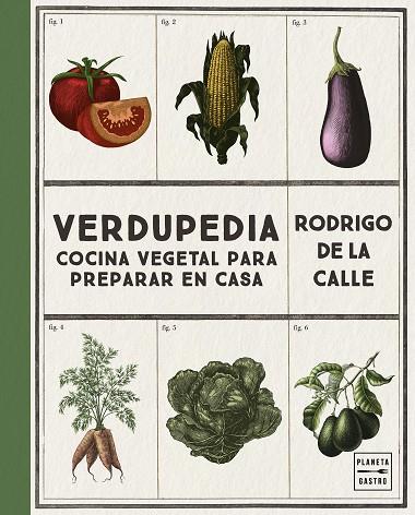Verdupedia | 9788408263937 | Rodrigo de la Calle | Librería Castillón - Comprar libros online Aragón, Barbastro