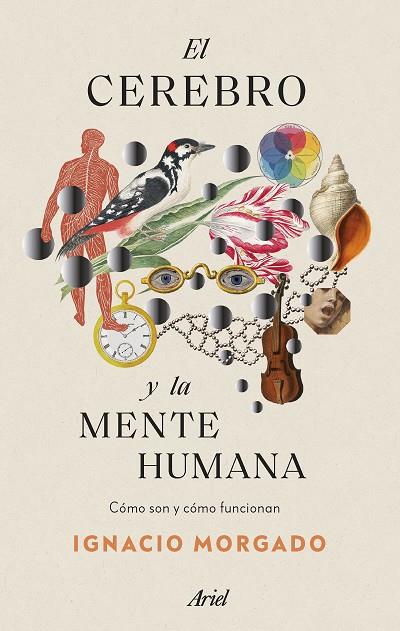 El cerebro y la mente humana | 9788434435988 | Morgado, Ignacio | Librería Castillón - Comprar libros online Aragón, Barbastro