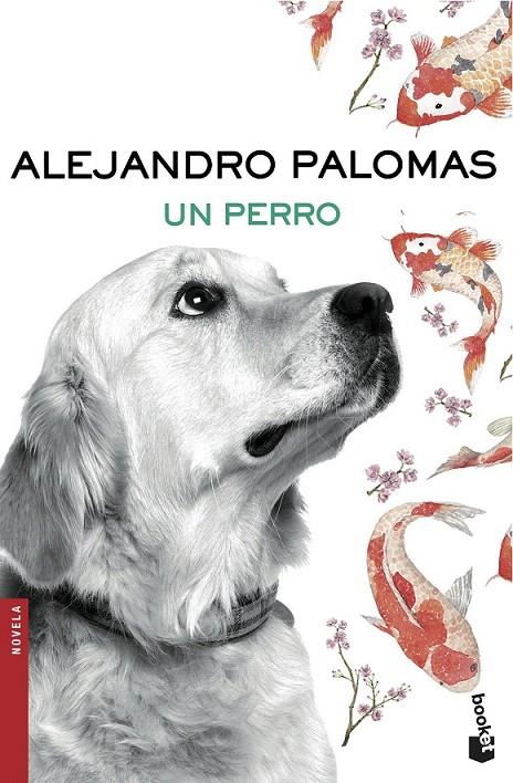 Un perro | 9788423351862 | Alejandro Palomas | Librería Castillón - Comprar libros online Aragón, Barbastro