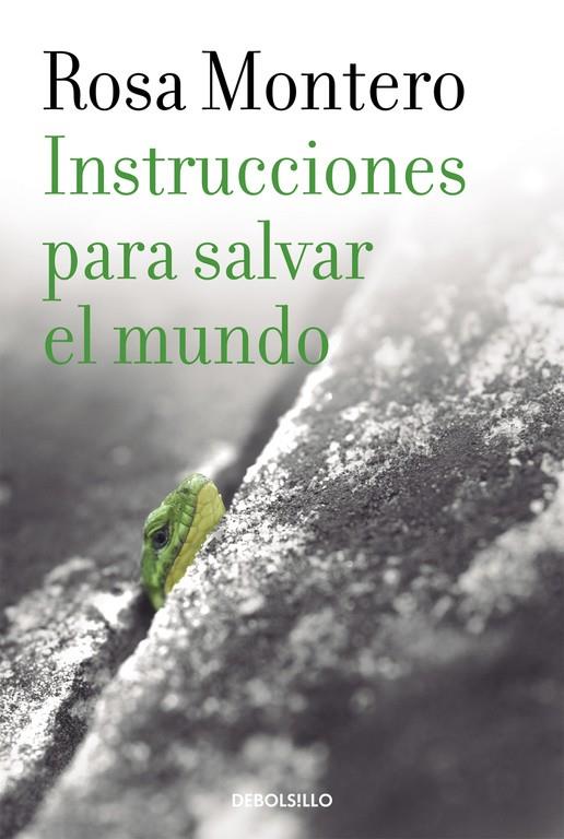 Instrucciones para salvar el mundo | 9788490629246 | MONTERO, ROSA | Librería Castillón - Comprar libros online Aragón, Barbastro