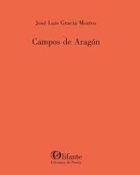 Campos de Aragón | 9788412733884 | Gracia Mosteo, Jose Luis | Librería Castillón - Comprar libros online Aragón, Barbastro