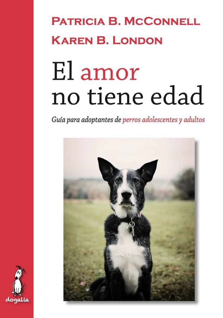 El amor no tiene edad | 9788494290022 | A.A.V.V. | Librería Castillón - Comprar libros online Aragón, Barbastro