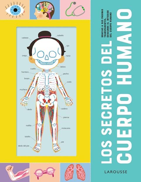 Los secretos del cuerpo humano | 9788418473210 | Éditions Larousse | Librería Castillón - Comprar libros online Aragón, Barbastro