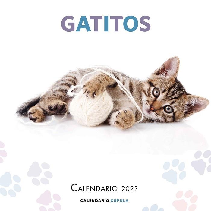 Calendario pared Gatitos 2023 | 9788448029784 | VV.AA. | Librería Castillón - Comprar libros online Aragón, Barbastro