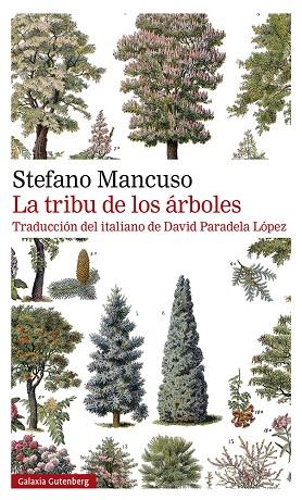 La tribu de los árboles | 9788419392510 | Mancuso, Stefano | Librería Castillón - Comprar libros online Aragón, Barbastro