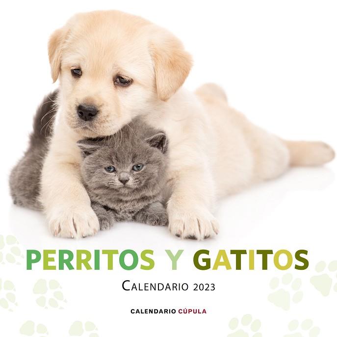 Calendario pared Perritos y Gatitos 2023 | 9788448029807 | VV.AA. | Librería Castillón - Comprar libros online Aragón, Barbastro