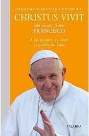 CHRISTUS VIVIT | 9788490618554 | PAPA FRANCISCO | Librería Castillón - Comprar libros online Aragón, Barbastro