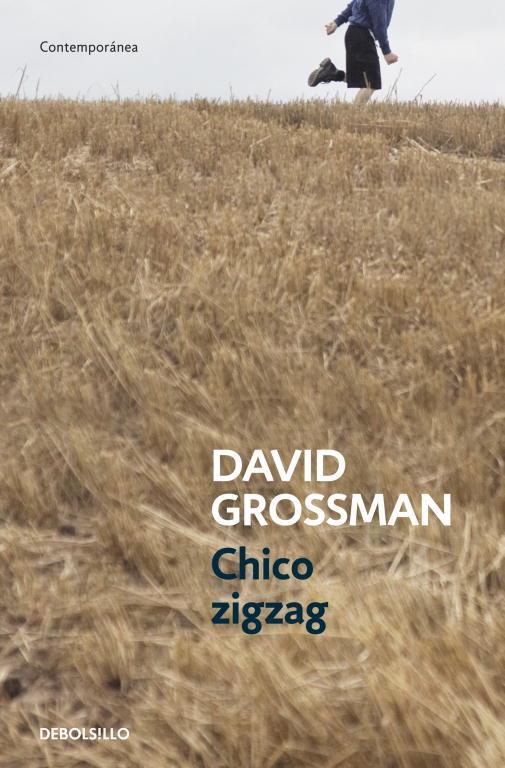 Chico zigzag | 9788499894805 | Grossman, David | Librería Castillón - Comprar libros online Aragón, Barbastro