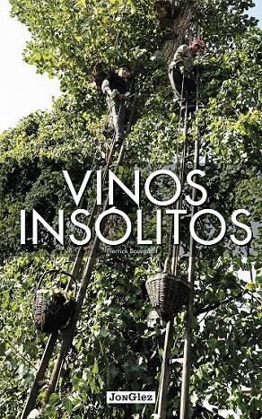 Vinos insólitos | 9782361951238 | Bourgault, Pierr | Librería Castillón - Comprar libros online Aragón, Barbastro